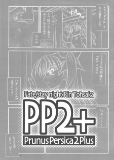 (C75)[Yakan Hikou (Inoue Tommy)] PP2+ (Fate) - page 2