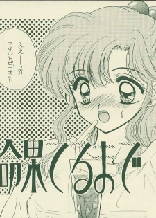 [Sailor Q2 (RYÖ+DEN)] Yougai (Sailor Moon) - page 4