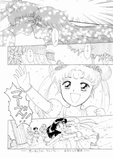 (C51) [The Garden (Itou Masaya)] Sailor Moon Zensei 2 (Bishoujo Senshi Sailor Moon) - page 3