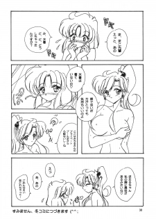 [Seishun No Nigirikobushi!] Favorite Visions 2 (Sailor Moon, AIKa) - page 32