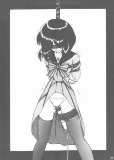(C75) [Thirty Saver Street 2D Shooting (Maki Hideto, Sawara Kazumitsu)] Silent Saturn SS vol. 11 (Bishoujo Senshi Sailor Moon) - page 34