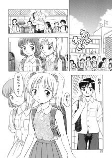 [Fujise Akira] Fujun Kazoku (Abnormal Family) - page 22