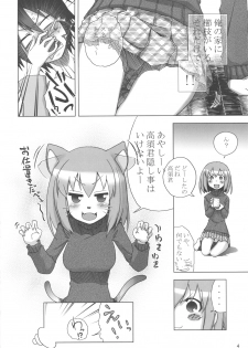 (C75) [Rikudou Juku (Hitotose Rin)] Tora Dango (Toradora!) - page 3