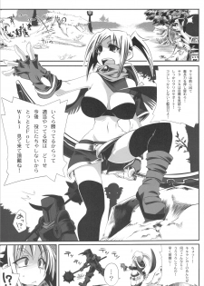 (C75) [S2H (Miyamoto Takashi)] Yadoya ni In Shita Sono Atode... (Fantasy Earth ZERO) - page 4