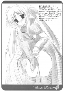 (C75) [Parufe (Hayashi Sakura)] Binde Liebe (Mahou Shoujo Lyrical Nanoha) - page 10