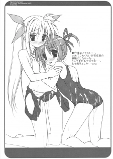 (C75) [Parufe (Hayashi Sakura)] Binde Liebe (Mahou Shoujo Lyrical Nanoha) - page 11