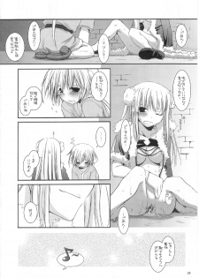 (C67) [Digital Lover (Nakajima Yuka)] D.L. action 28 (Ragnarok Online) - page 24