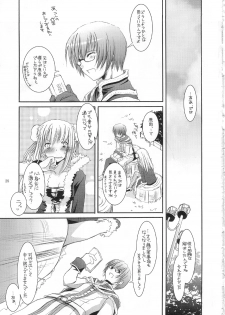 (C67) [Digital Lover (Nakajima Yuka)] D.L. action 28 (Ragnarok Online) - page 25