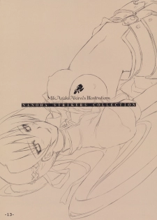 (C74) [TRI-MOON! (Mikazuki Akira!)] PASSION -karakore 2- (Mahou Shoujo Lyrical Nanoha) - page 12