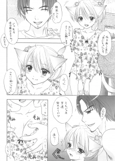 (C75) [BEAT-POP (Ozaki Miray)] HONEY CATS - page 13