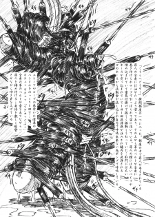 (C68) [Sumomo Dou (Sumomo EX)] Vivian Bessatsu 28 - Hime-sama to Goumonheya - page 3