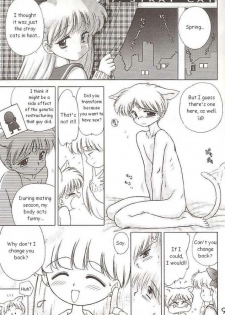 Sailor Venus - The Stray Cat - page 1