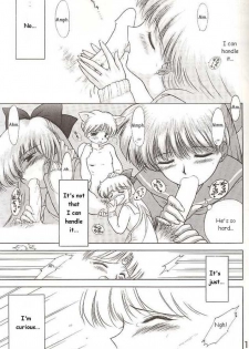 Sailor Venus - The Stray Cat - page 3