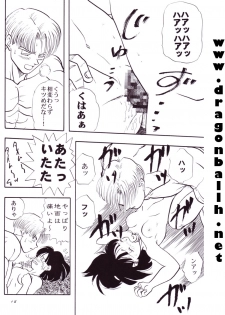 (C54) [Chirigami Goya, Fusuma go Ten (Shoji Hariko)] Tirinuruwo (DRAGON BALL) - page 18