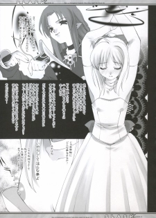(Mimiket 10) [Renai Mangaka (Naruse Hirofumi)] SLASH 2 Side A (Fate/stay night) - page 6