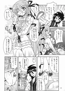 (C66) [Taikan Kyohougumi (Azusa Norihee)] Aru to Shiro Suku (Demonbane) - page 3