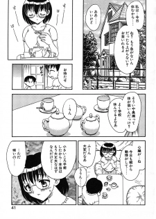 [Hiryuu Ran] Tanoshii Katei no Kyouiku - page 42