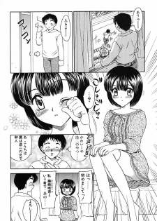 [Hiryuu Ran] Tanoshii Katei no Kyouiku - page 27