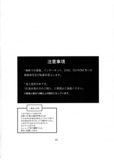 (C75) [Nakayohi (Izurumi)] Doll House Vol. 1 (Neon Genesis Evangelion) [English] =LWB= - page 25