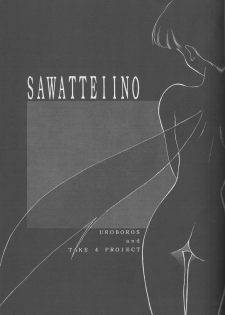 [TAKE 4 PROJECT, UROBOROS (Various)] Sawatte Iino (Gdleen) - page 2