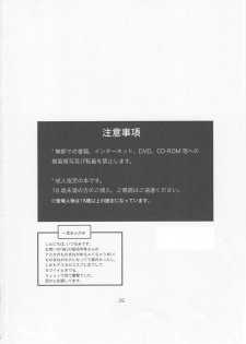 (C75) [Nakayohi (Izurumi)] Doll House Vol. 1 (Neon Genesis Evangelion) - page 25