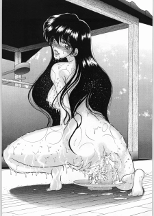 (C55) [ENERGYA (Roshiya No Dassouhei)] COLLECTION OF -SAILORMOON- ILLUSTRATIONS FOR ADULT Vol.2 (Bishoujo Senshi Sailor Moon) - page 46