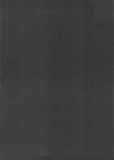 (C75) [Hotahotadou] -Kanwa Kouhime- (Sengoku Rance) - page 3