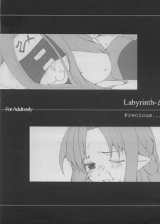 (CR35) [Precious... (Haoto Luna)] Labyrinth-β (Fate/stay night)