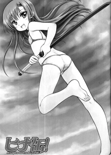(C73) [Super Flat Lolinitron (Focke Wolf)] Hinakan! - Hinagiku no ero do-jin shi (Hayate no Gotoku!) - page 2