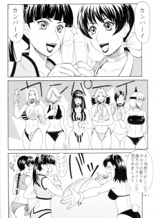 (C63) [Aruto-ya (Suzuna Aruto)] Mikicy Vol. 2 (Dead or Alive, Gyakuten Saiban [Phoenix Wright: Ace Attorney]) - page 5