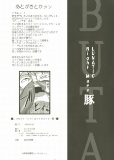 (SC42) [Raiden Labo (Raiden)] LUNATIC NightMare -Buta- (Touhou Project) - page 25