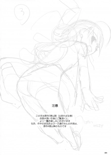 (SC42) [Digital Lover (Nakajima Yuka)] D.L. action 46 (Toaru Majutsu no Index) - page 3