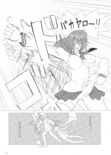 (C70) [Nozarashi (Nozarashi Satoru)] Kyouhime-sama wa Nikubenhime! - page 13