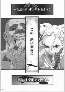 (C66) [Burugariya (K.T)] NINETH (Street Fighter) - page 28
