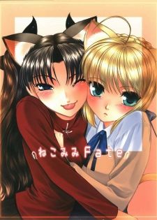 (C67) [Sanazura Doujinshi Hakkoujo (Sanazura Hiroyuki)] Nekomimi Fate (Fate/stay night) - page 30