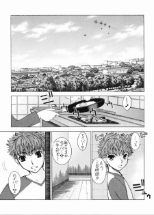 (C67) [Sanazura Doujinshi Hakkoujo (Sanazura Hiroyuki)] Nekomimi Fate (Fate/stay night) - page 4