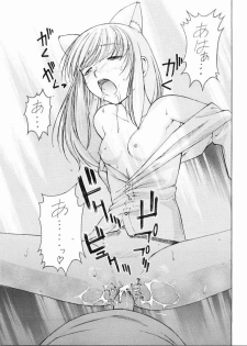 (C67) [Sanazura Doujinshi Hakkoujo (Sanazura Hiroyuki)] Nekomimi Fate (Fate/stay night) - page 20