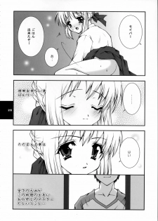 (C66) [Konsayo, Shigunyan (Soyoki, Shigunyan)] Yume no Tamago no Kaeru Toki (Fate/stay night) - page 25