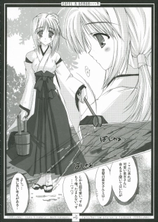 (C70) [Moehina Kagaku (Hinamatsuri Touko)] EXPEL A DEMON...? (Fate/stay night) - page 3