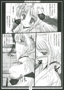 (C70) [Moehina Kagaku (Hinamatsuri Touko)] EXPEL A DEMON...? (Fate/stay night) - page 6