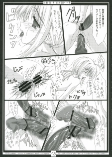 (C70) [Moehina Kagaku (Hinamatsuri Touko)] EXPEL A DEMON...? (Fate/stay night) - page 12