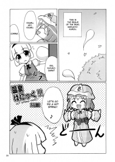 (C73) [Albatross (Mei, Nikusyo)] Yosuzume no Saezuri |The Night Sparrow’s Chirps (Touhou Project) [English] {desudesu} - page 25