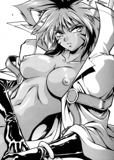 (C57) [Studio Katsudon (Manabe Jouji)] HELP ME Nyanmar-sama vol.2 (Juuni Senshi Bakuretsu Eto Ranger) [English] [SaHa] - page 4