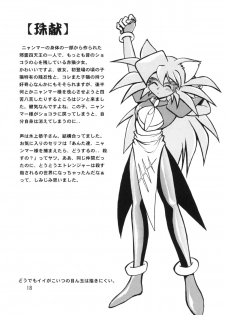 (C57) [Studio Katsudon (Manabe Jouji)] HELP ME Nyanmar-sama vol.2 (Juuni Senshi Bakuretsu Eto Ranger) [English] [SaHa] - page 18