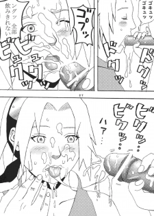(C70) [St. Rio (Kitty)] Nama Ikikko 2 (BLEACH, Naruto) - page 29