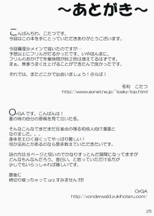 (C75) [Desuno!! (Fuyuwa Kotatsu)] ONE FINE DAY (Touhou Project) - page 25