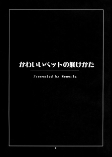 (Kouroumu 4) [Memoria (Tilm)] Kawaii Pet no Shitsukekata (Touhou Project) - page 2