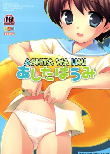 (C74) [Tokuda (Ueda Yuu)] Ashita wa Umi | The Beach Tomorrow [English] [NekoShota] - page 1