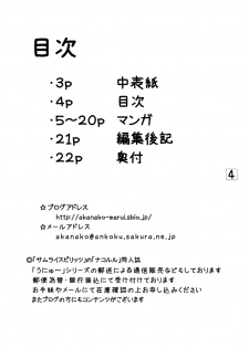 (C75) [Ai Wa Kurayami (Marui Ryuu)] Amagiya no Waka Okami Hanjouki (Persona 4) - page 3