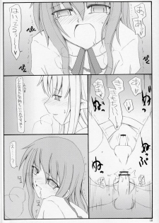 (C67) [Sasaduka (Riuichi)] Kono Utsukushii Kuni de. - page 17